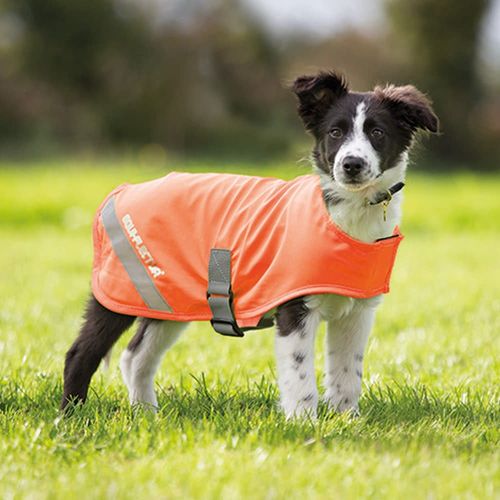 Digby & Fox Equiflector Dog Safety Vest - Orange