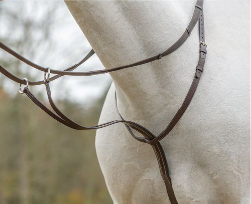 Shires Avignon Running Martingale - Havana