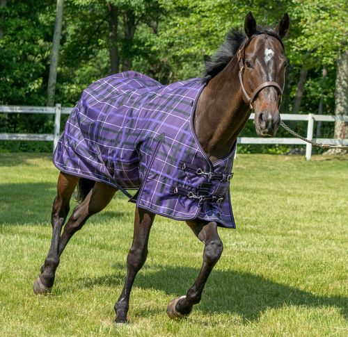 Pessoa Alpine 1200D Turnout Sheet - Mulberry Plaid