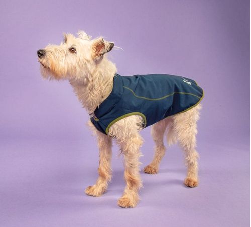 Digby & Fox Softshell Dog Coat - Navy