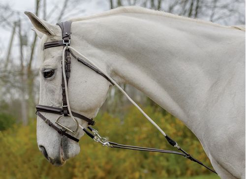 Shires Avignon De Gogue Trainng Aid - Havana