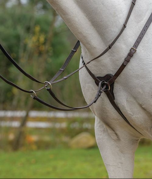 Shires Avignon Three Point Breastplate - Havana