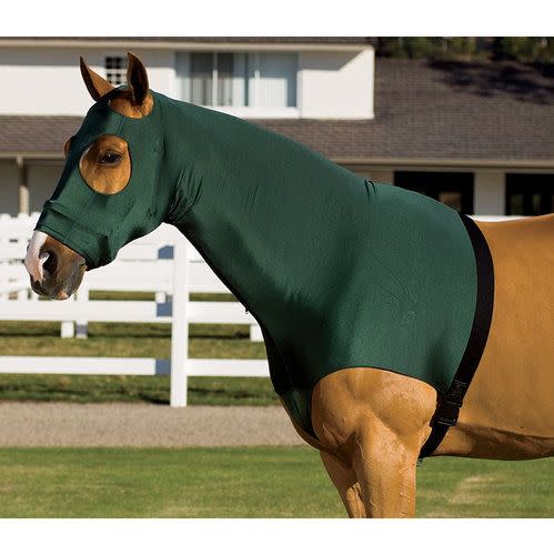 Flex Rider Stretchies Hood - Green