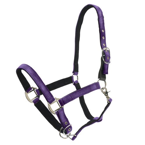 Centaur Glitter Break Away Halter - Purple