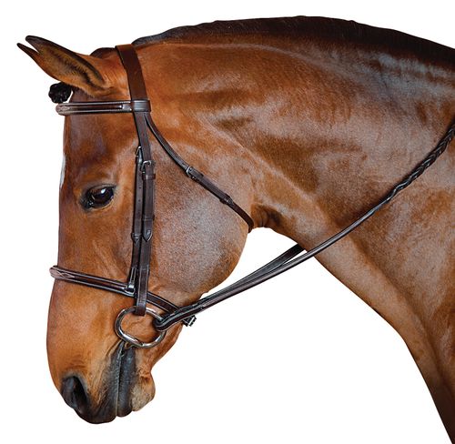 M. Toulouse Standard Hunter Bridle - Chocolate