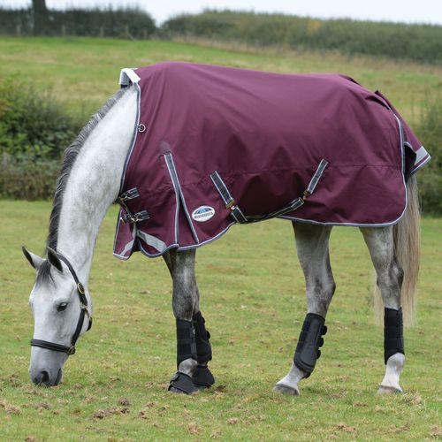 Weatherbeeta Comfitec Plus Dynamic II Standard Neck Medium/Lite - Maroon/Grey/White