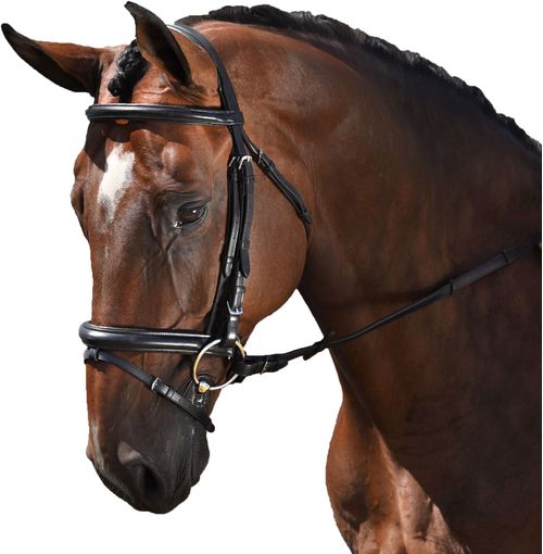 M. Toulouse Euro Style Dressage Bridle - Black