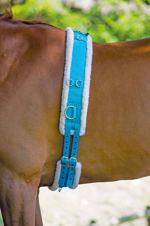 Shires Nylon Roller With Fleece Padding - Blue