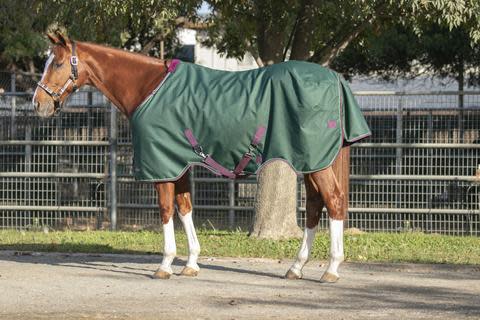 Kensington Signature Heavy Weight Turnout - Hunter
