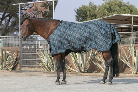 Kensington Signature Medium Weight Turnout - Atlantis