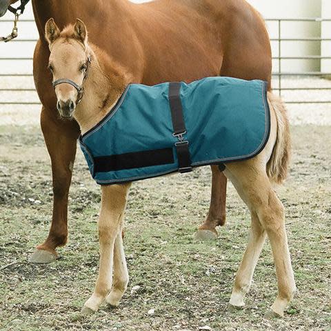 Kensington Signature Adjustable Foal Turnout - Harbor