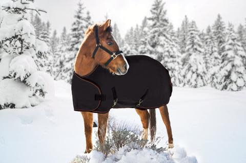 Kensington Signature Adjustable Yearling Turnout - Black