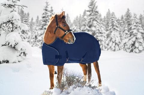 Kensington Signature Adjustable Weanling Turnout - Navy