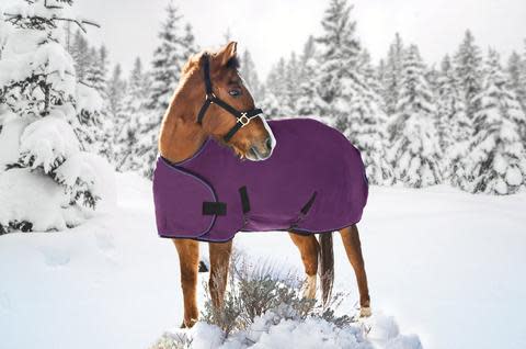 Kensington Signature Adjustable Weanling Turnout - Purple