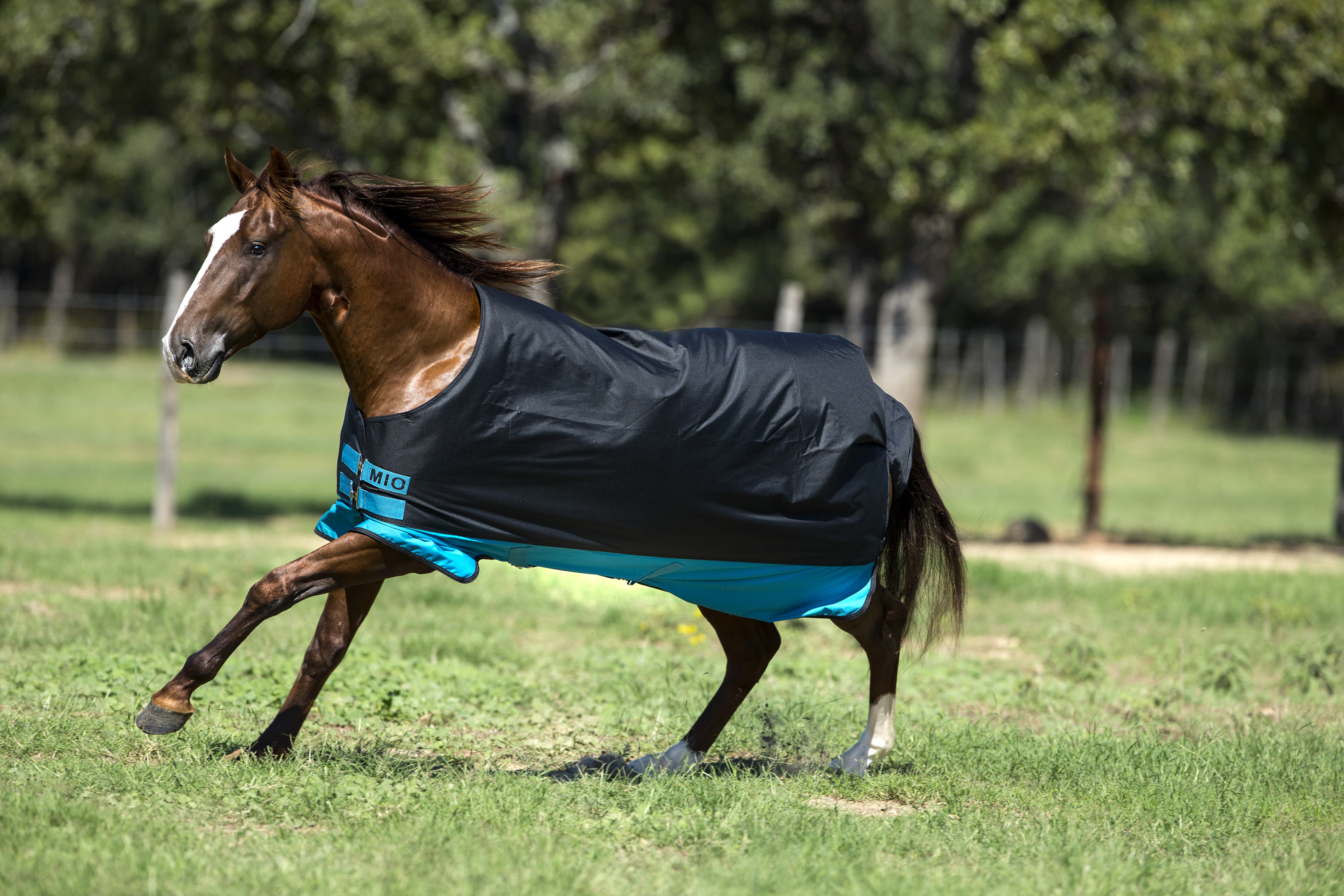 Horseware Mio All-In-One 200g Turnout Rug main image 1