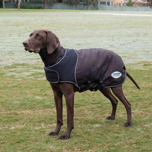 Weatherbeeta Comfitec Ultra Cozi Dog Coat - Charcoal/Blue/White