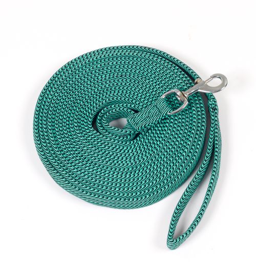 Centaur Cushion Padded Lunge Line - Aqua/Grey