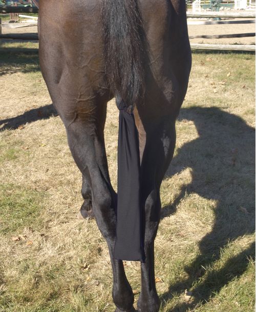 Centaur Spandex Tail Bag - Black