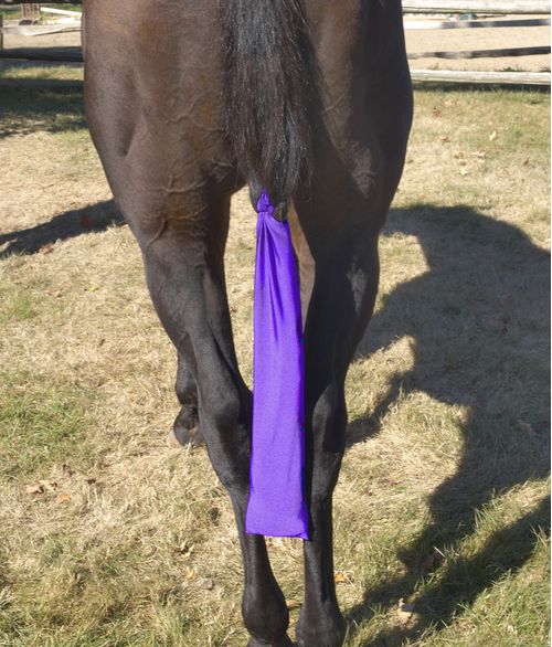 Centaur Spandex Tail Bag - Purple