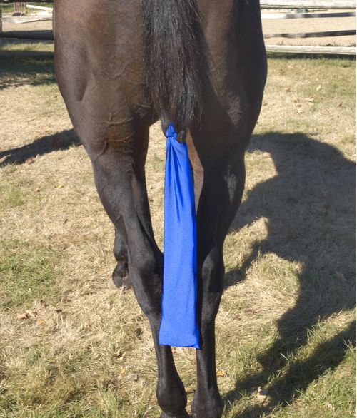 Centaur Spandex Tail Bag - Royal Blue