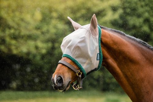 Amigo Fly Mask - Oatmeal/Green