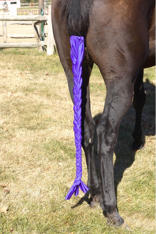 Centaur Spandex Braid-n-Tail Bag - Purple