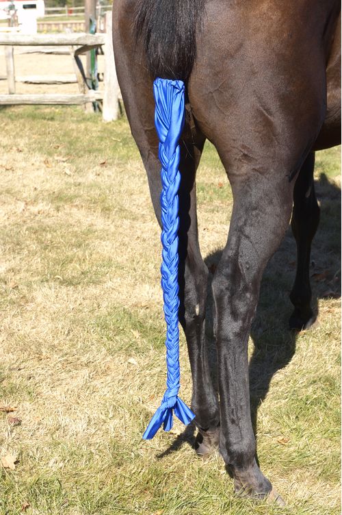 Centaur Spandex Braid-n-Tail Bag - Royal Blue