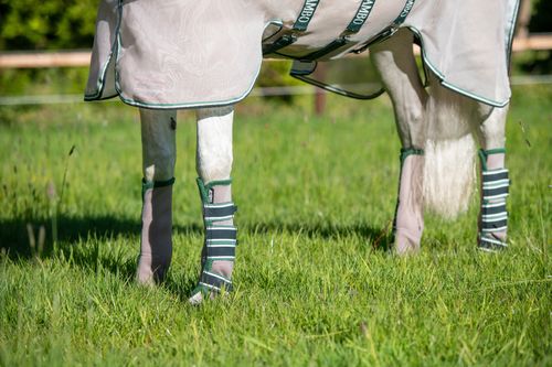 Rambo Flyboot Airmesh w/o Vamoose - Oatmeal/Sage/Beige/Green