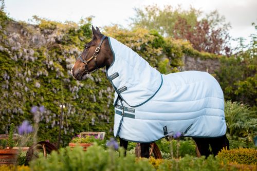 Amigo Plant Dye Stable Blanket - Blue/Navy