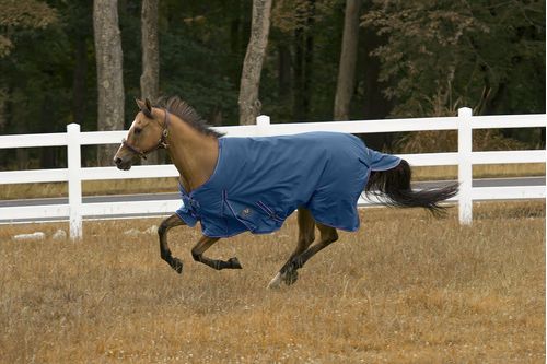 TuffRider 600 D Comfy Turnout Blanket - Palace Blue