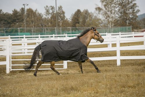 TuffRider 1200 D Comfy Turnout Blanket - Black