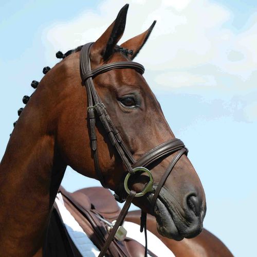 Collegiate Syntovia+ Padded Raised Flash Bridle - Brown