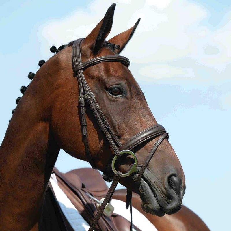 Collegiate Syntovia+ Bridle