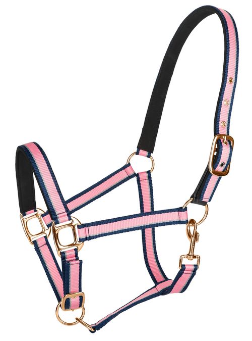 TuffRider Nylon Rose Gold Hardware Breakaway Halter w/Padded Crown - Hot Pink/Navy/Gray