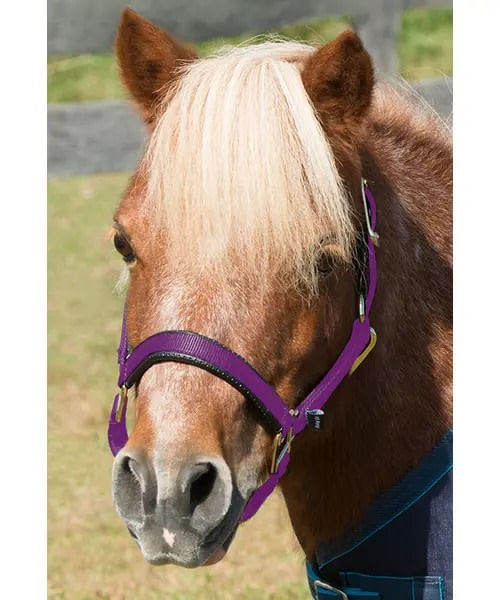 Shires Mini Topaz Halter - Purple