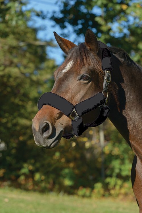 Shires ARMA Supafleece Halter Set - Black