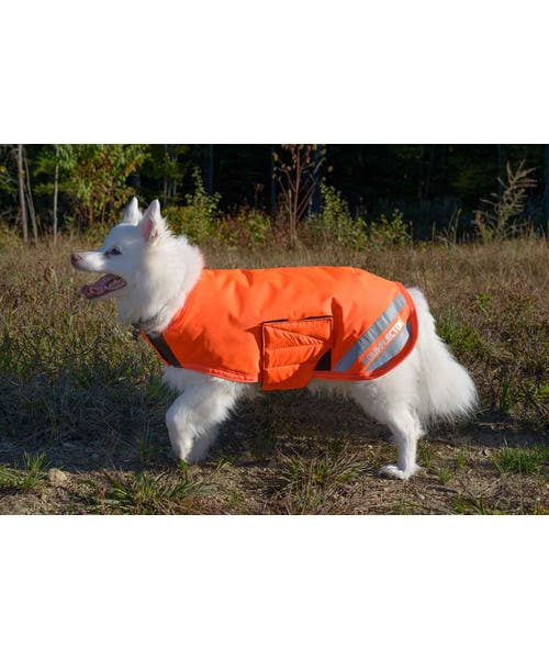 Digby & Fox Equi-Flector Dog Coat - Equi-Flector Orange