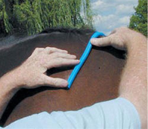 Nunn Finer Saddle Fitting Curve - Blue