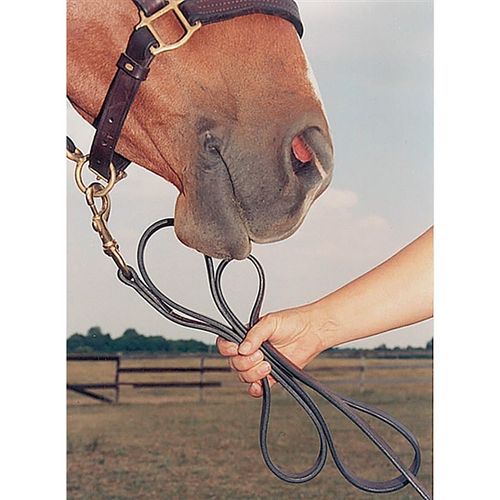 Nunn Finer Leather Lead - Havana