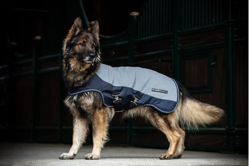 Rambo Dog Rug - Reflective/Navy