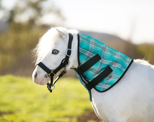 Kensington Mini/Pony Protective Neck Piece - Atlantis