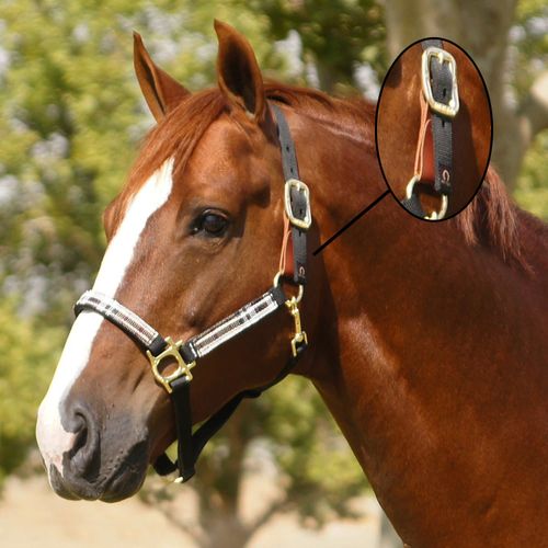 Kensington Premium Breakaway Halter - Black/Deluxe Black