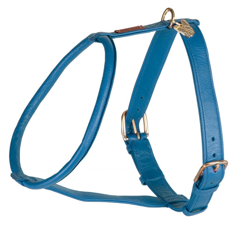 Digby & Fox Rolled Leather Harness - Royal