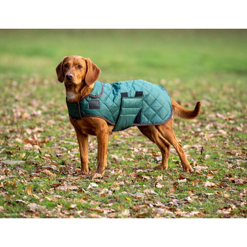 Digby & Fox Quilted Dog Coat Forest Digby & Fox6620FOREST Bit