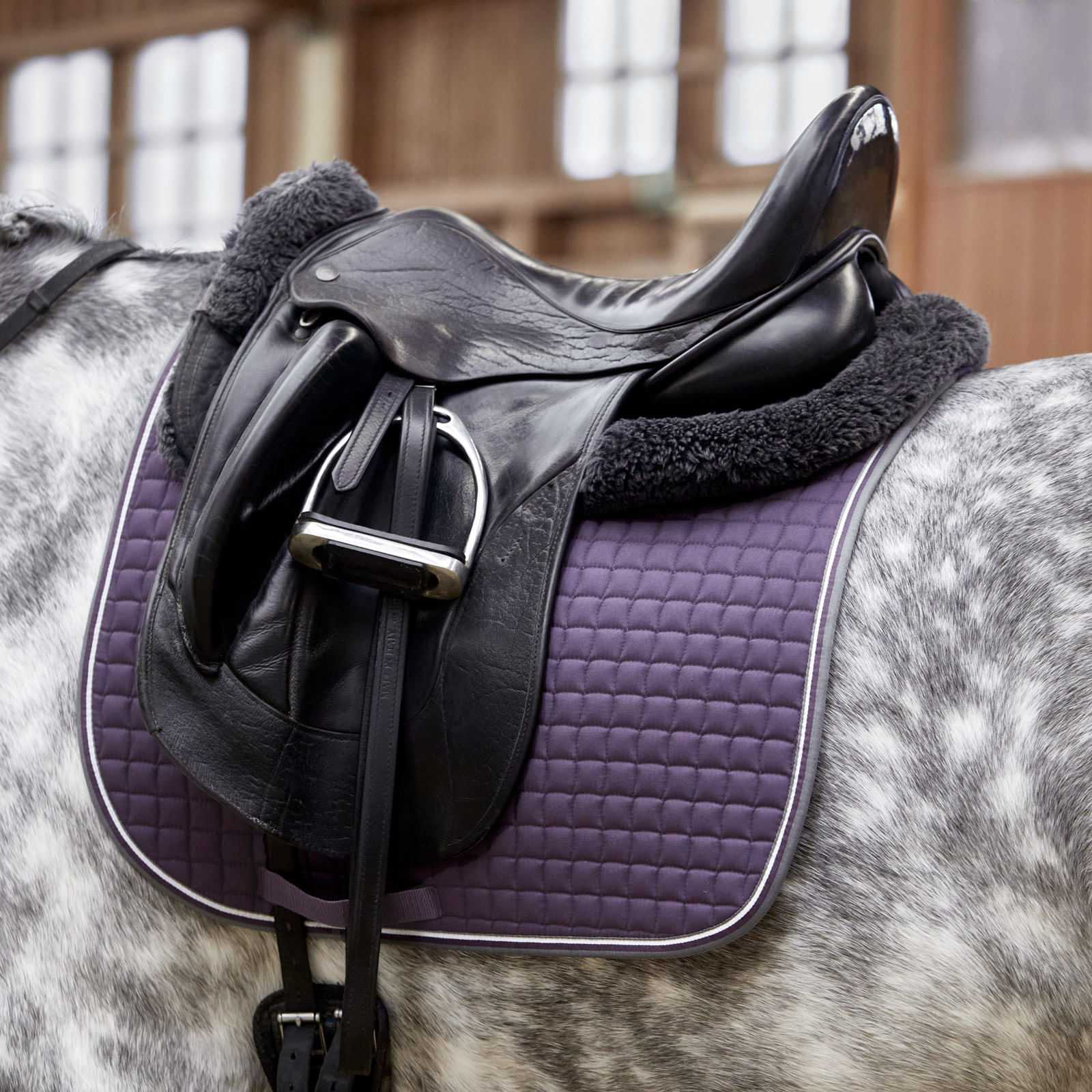 Zandona 2025 saddle pad