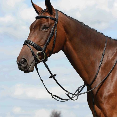 Collegiate Syntovia+ Plain Flat Running Martingale - Black