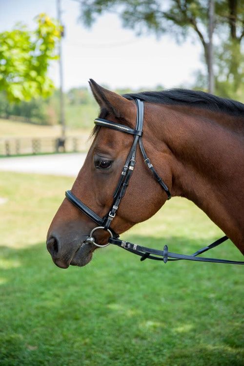 Henri de Rivel Clincher Bridle - Black