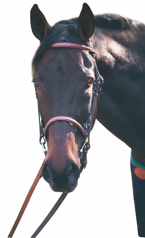 Henri de Rivel Advantage Fancy Raised Snaffle Bridle w/Laced Reins - Havana