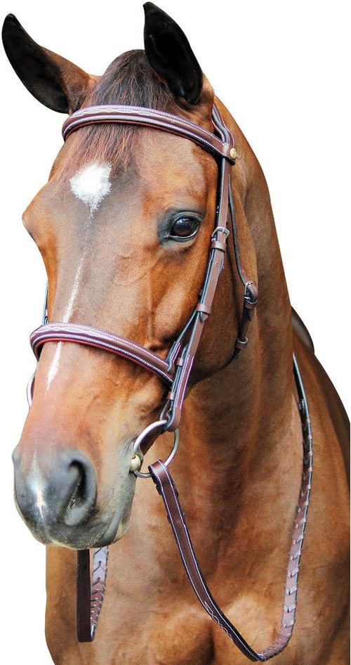Henri de Rivel Pro Fancy Raised Comfort Crown Padded Bridle w/Reins - Oakbark