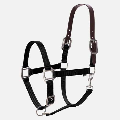 Equinavia Loki  Breakaway Halter - Black